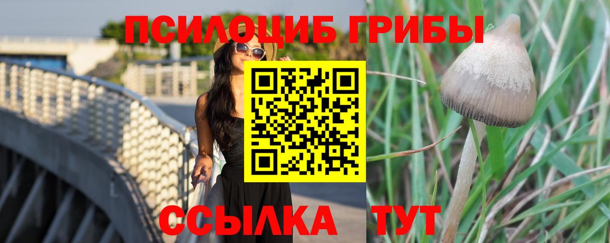 Псилоцибиновые грибы GOLDEN TEACHER  Вход с VPN  Галлюциногенные грибы Psilocybe  Магнитогорск 